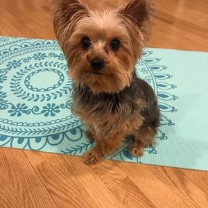 Meet your Posher, Maria